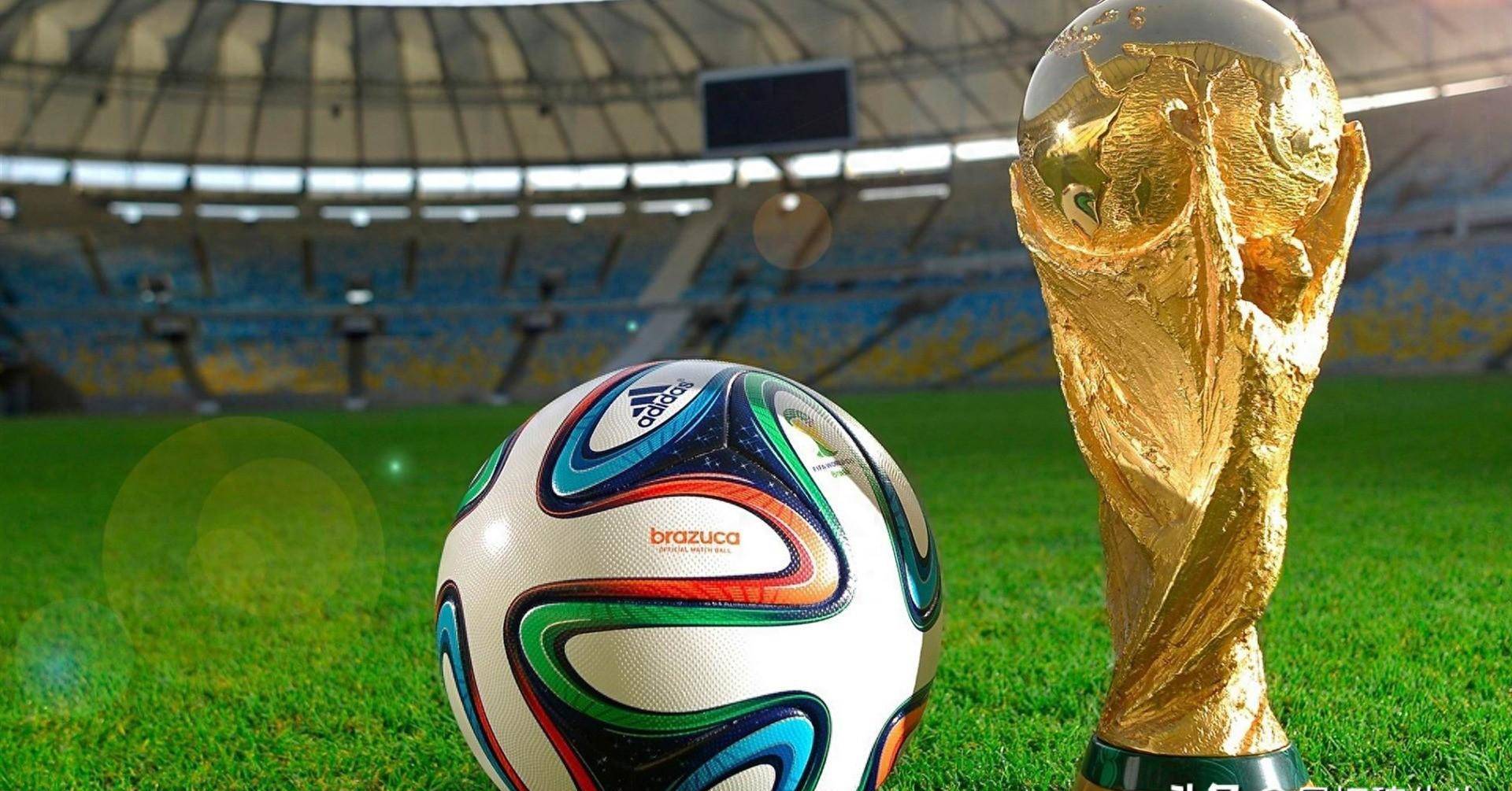 更是智慧与 更是智慧与